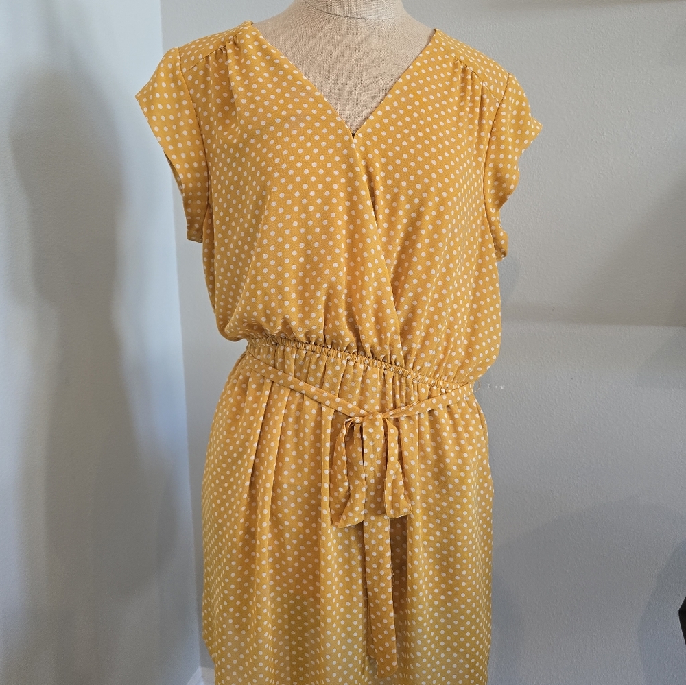 DR2 Mustard Polka Dot Dress